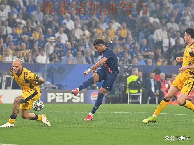 欧冠焦点战球迷情绪彻底被点燃